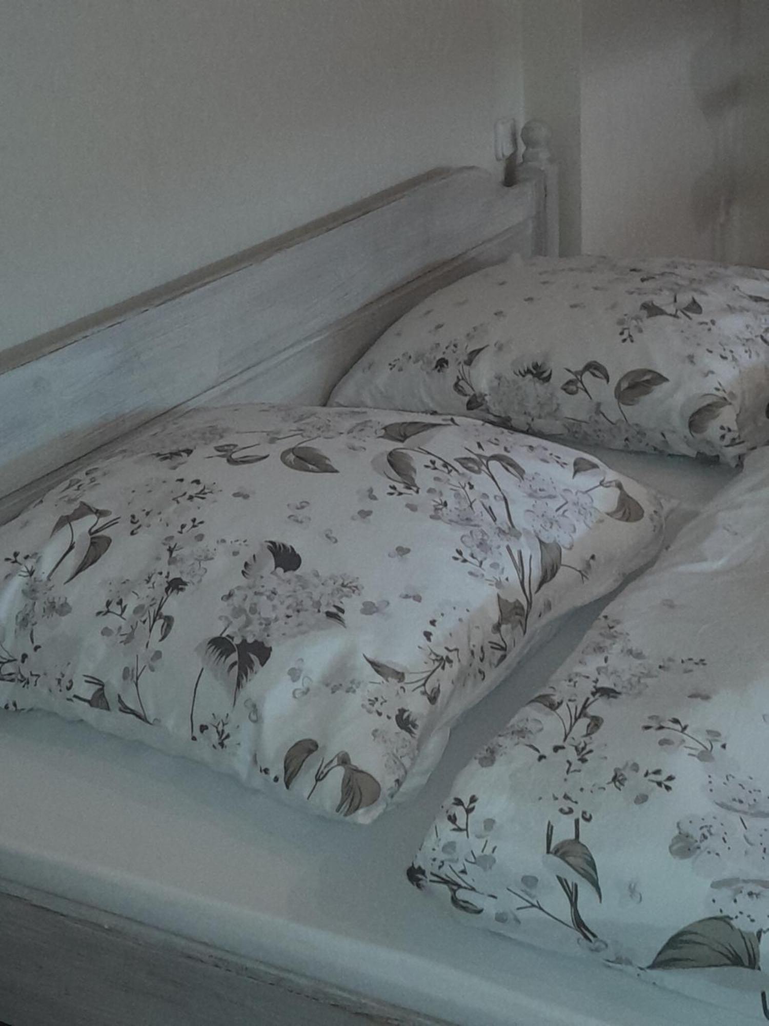 Zinimiri Apartment Freiensteinau Екстериор снимка